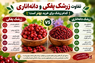 تفاوت زرشک پفکی و دانهاناری؛ کدام زرشک برای خرید بهتر است؟